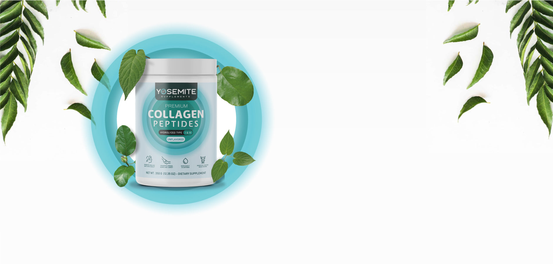 Yosemite Supplements