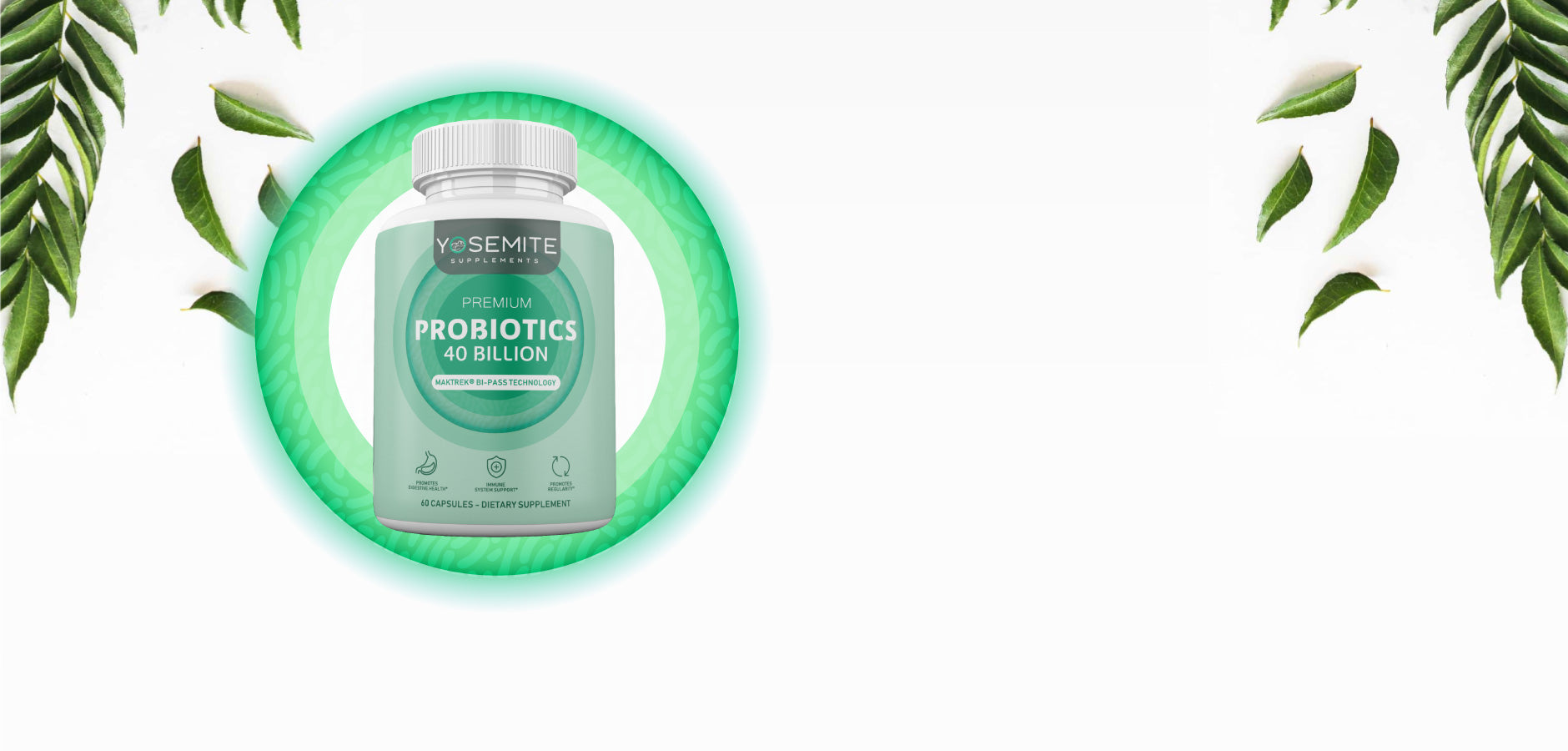 Yosemite Supplements