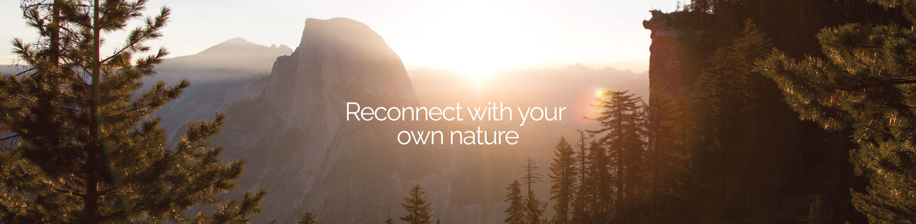 Yosemite Supplements